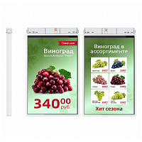TFT-дисплей MERTECH HL101 Dual 10,1″ White картинка от магазина Кассоптторг